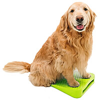 FitPAWS Balance Ramp